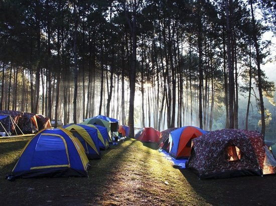 Несанкционированный палаточный лагерь для детей переместился в Хакасию из соседнего региона
