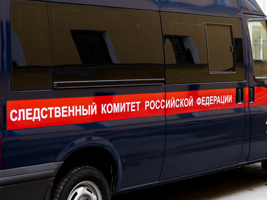 Ранением девочки из Тверской области заинтересовались следователи