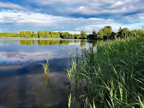 Смоленские синоптики подробно рассказали о погоде на 12 июля