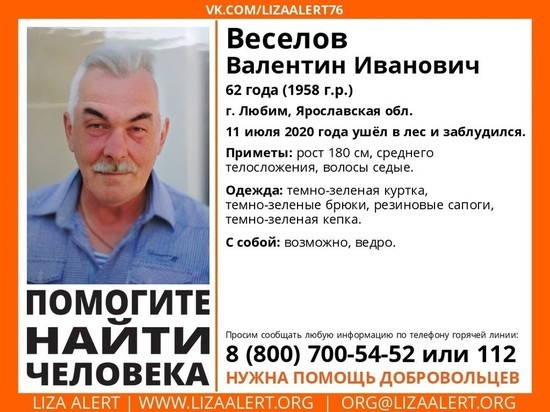 В Ярославской области ищут 62-летнего грибника