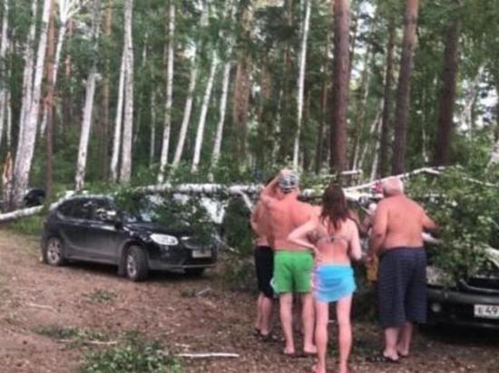Повалены деревья, перевернуты яхты: по Челябинской области пронесся мощный ураган