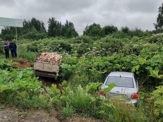 В Тверской области столкнулись иномарки и съехали в кювет с борщевиком