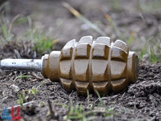 Житель Саяногорска нашел во дворе дома гранату на растяжке