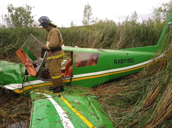 СМИ назвали возможную причину падения самолета в Тверской области