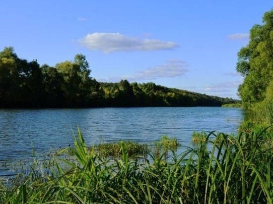 На реке Меше в Татарстане утонули подросток и его отец