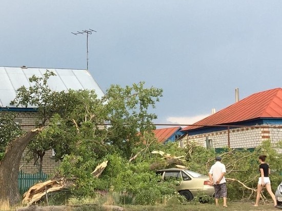 В Саратовской области шквалистый ветер ломает деревья и рвёт провода