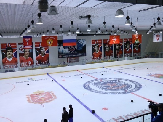 Новомосковский ледовый дворец надеется принять в августе Кубок губернатора