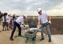 В Черноземье отмечен рост банкротств