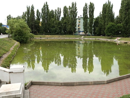 В Воронеже чистят озеро на Минской