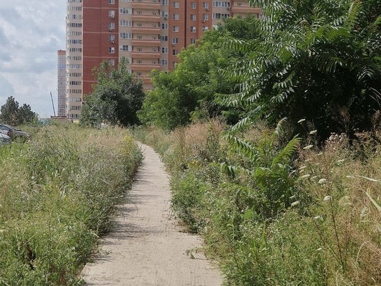 В Краснодаре скосили амброзию на площади 3,9 тысячи гектаров