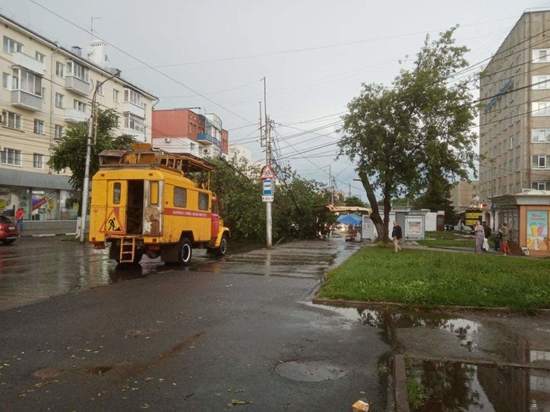 Упавшее дерево на Есенина повредило троллейбусные провода