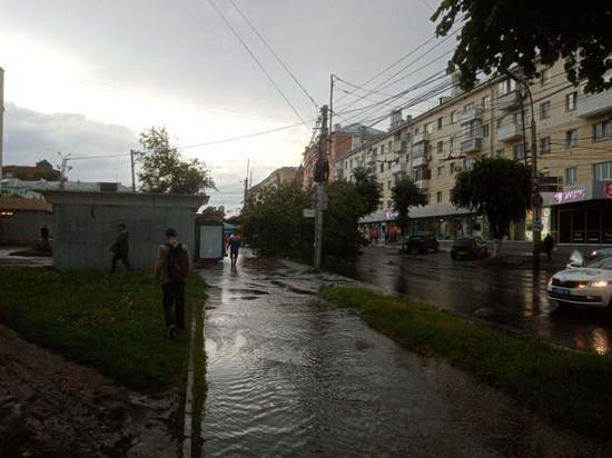 В центре Рязани упавшее дерево перекрыло проезжую часть