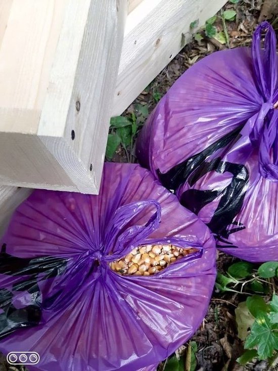 Власти Ингушетии подкармливают диких животных