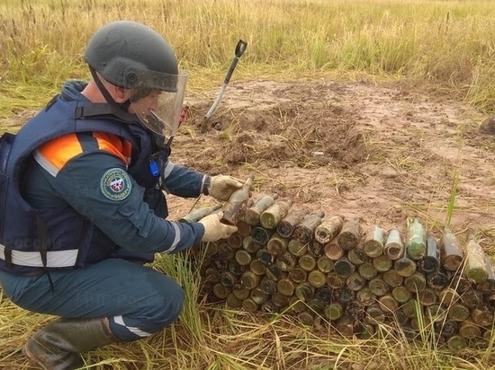 В Тверской области рядом с Победой обнаружили бутылки с зажигательной смесью