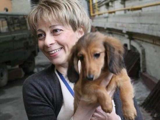 Собака доктора Лизы погибла в результате нападения ротвейлера в Подмосковье