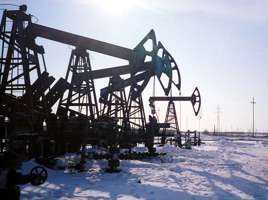 Россия лишилась каждой десятой нефтяной скважины: ОПЕК+ меняет правила игры
