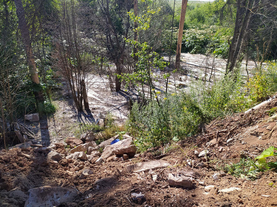Забетонированный лес в Чистых Прудах забросали строительным мусором