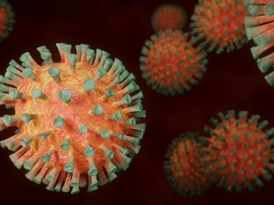 Эксперт заявил, что все регионы России прошли пик пандемии коронавируса