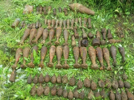 Целый арсенал боеприпасов обнаружен в Жиздринском районе