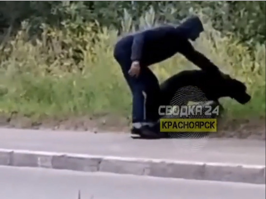 В Красноярске мужчина издевался над собакой на глазах у прохожих
