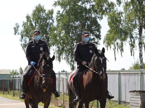 В Кузбассе впервые создан кавалерийский взвод конной полиции