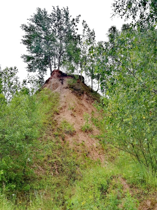 Какой погоды ждать смолянам в субботу, 18 июля