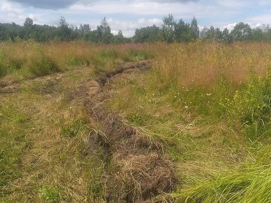 Псковские археологи в шоке: рабочие разрушили остатки старинного поселения