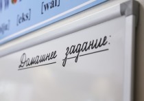 17-летний школьник из Красноярска Александр Разин выступил против низкого качества дистанционного образования в регионе, которое может продолжиться и в новом учебном году