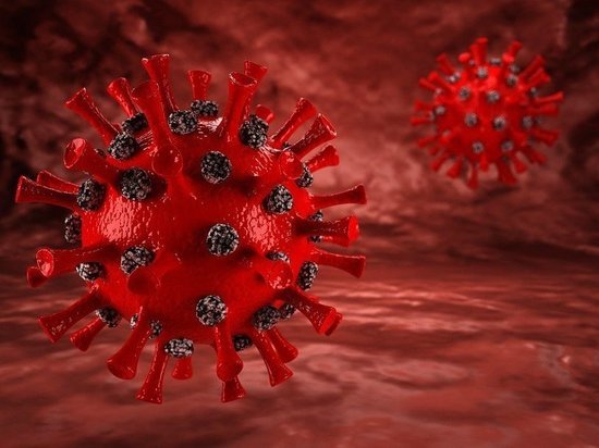 Минздрав раскрыл, когда произойдет вторая волна коронавируса в России