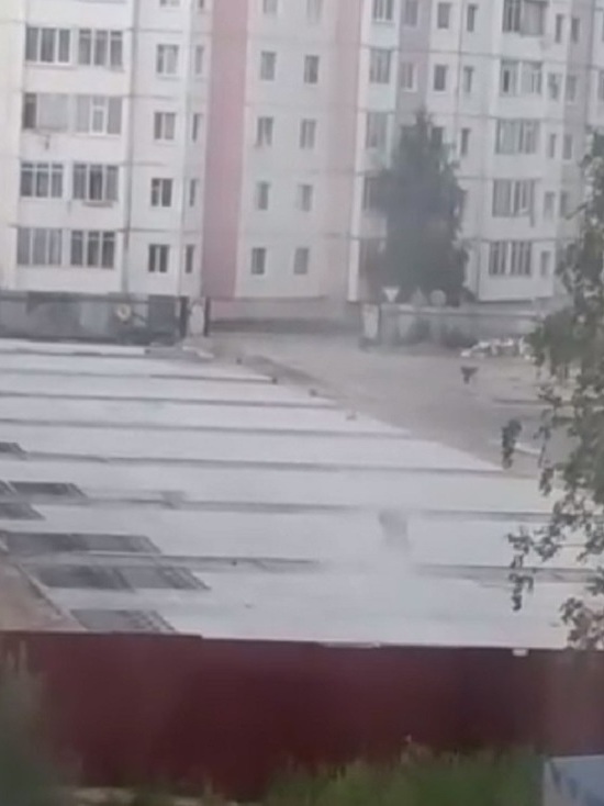 Жителей Надыма возмутила реконструкция детского сада