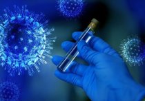 Исследователи Королевского колледжа Лондона выделили шесть основных форм заболевания, вызываемого коронавирусом нового типа