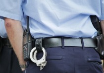 В Новом Уренгое мужчину накажут за оскорбление полицейского