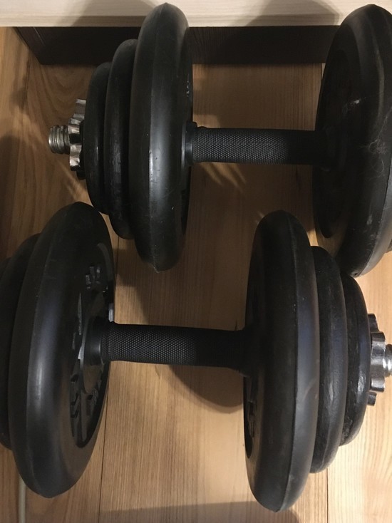 Штанги, гири и гантели смоленский похититель сдал на металлолом