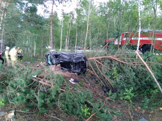 В Рязанской области «Рено» вылетел в кювет и врезался в дерево