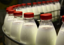 Краснодарский край стал первым в России по производству питьевого молока, сообщает региональная администрация со ссылкой на Центр изучения молочного рынка