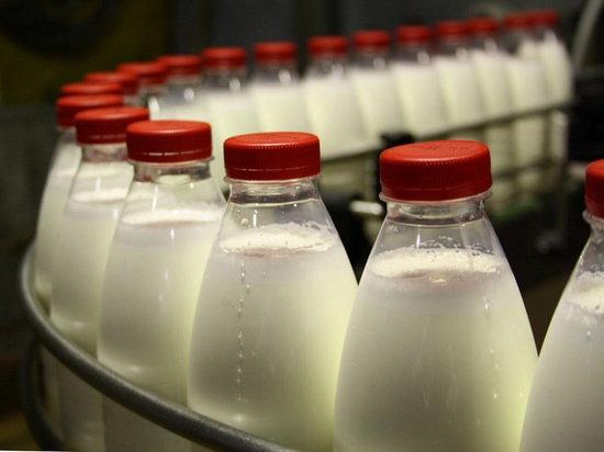Кубань заняла первое место по производству молока в России