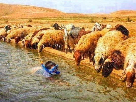 Калмыкию ждут зной и ливни с грозами