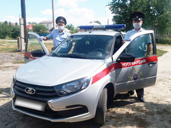 В Воронежской области росгвардейцы по горячим следам разыскали угнанный автомобиль