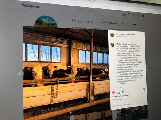 У фермерского хозяйства в Надыме появился аккаунт в Instagram