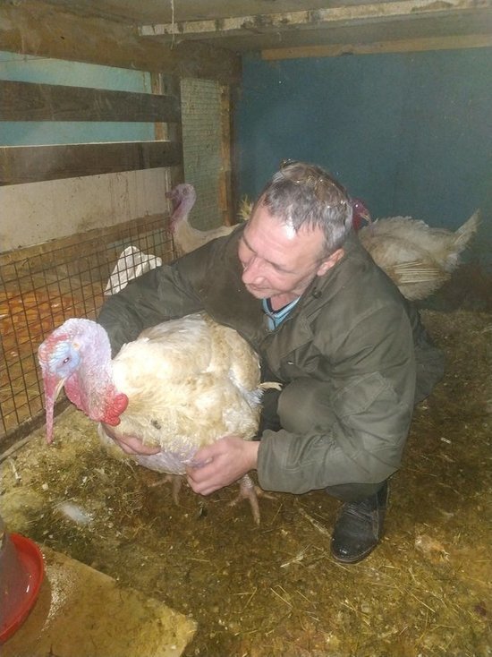 Бизнесмен из Ноябрьска просит россиян помочь восстановить сгоревшую птицеферму