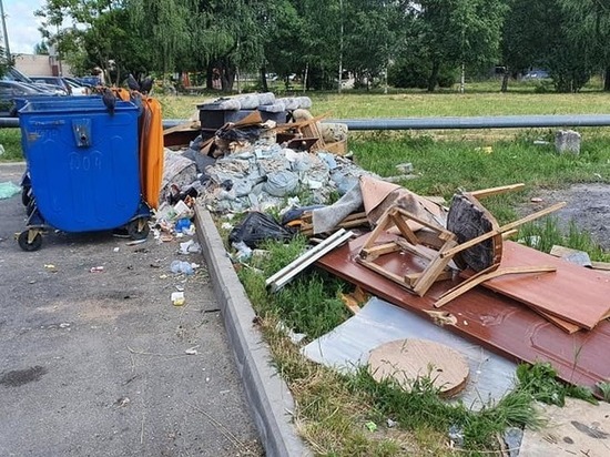 Вывоз мусора для жителей Псковской области должен стать еще дешевле
