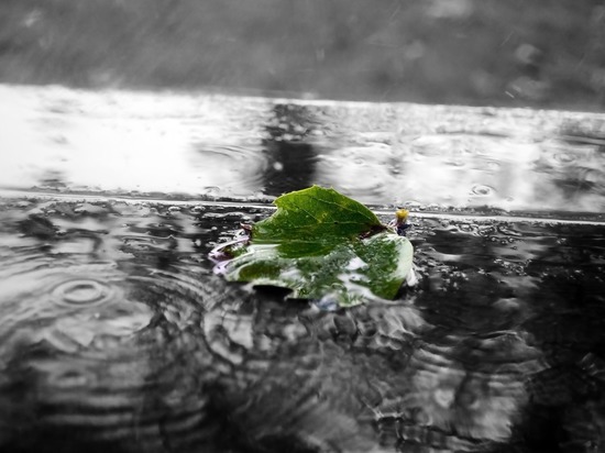 До конца недели в Удмуртии сохранятся дожди