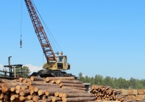 В Бурятии выявили контрабанду лесоматериалов почти на 3 млн рублей