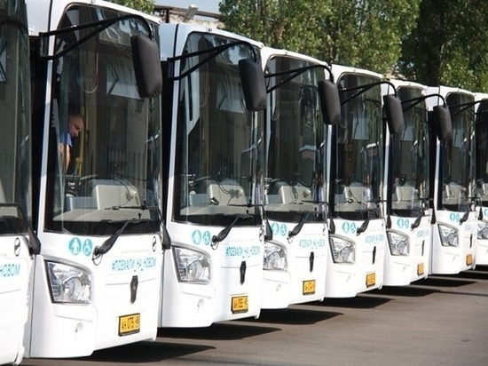 Автобус №19 в Липецке будет ходить по-новому