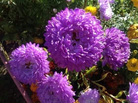 Синоптики обещают смолянам 23 июля привет из Прибалтики