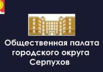 Процедура голосования по выбору кандидатов в Общественную палату Серпухова пройдёт с 24 по 30 июля