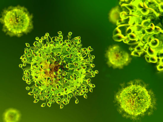 За минувшие сутки в Хакасии от коронавируса выздоровело в два раза больше, чем заболело