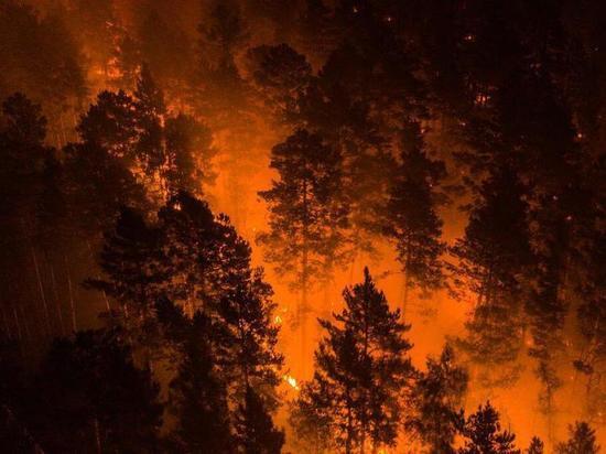 Показываем жуткие фото лесных пожаров в Красноярском крае