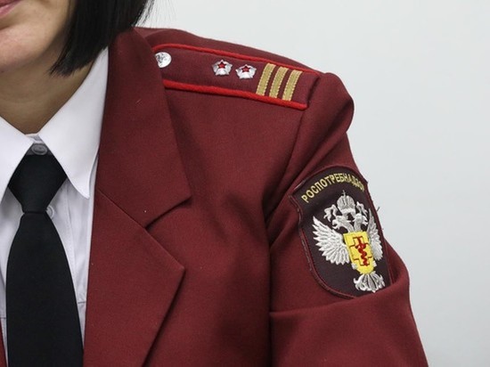 Предприятие-фантом поставило в Иваново около 700 килограммов сыра