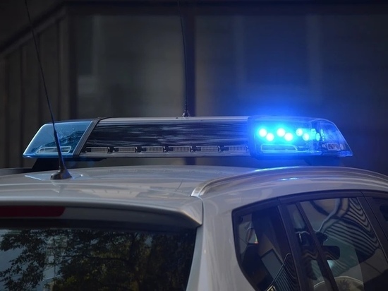 Пьяный подросток вынудил псковскую полицию организовать погоню со стрельбой